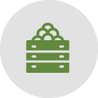 Green cake with loamy top on a gray background