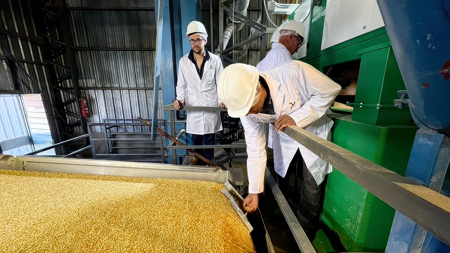 The role of gravity tables in the agricultural seed industry