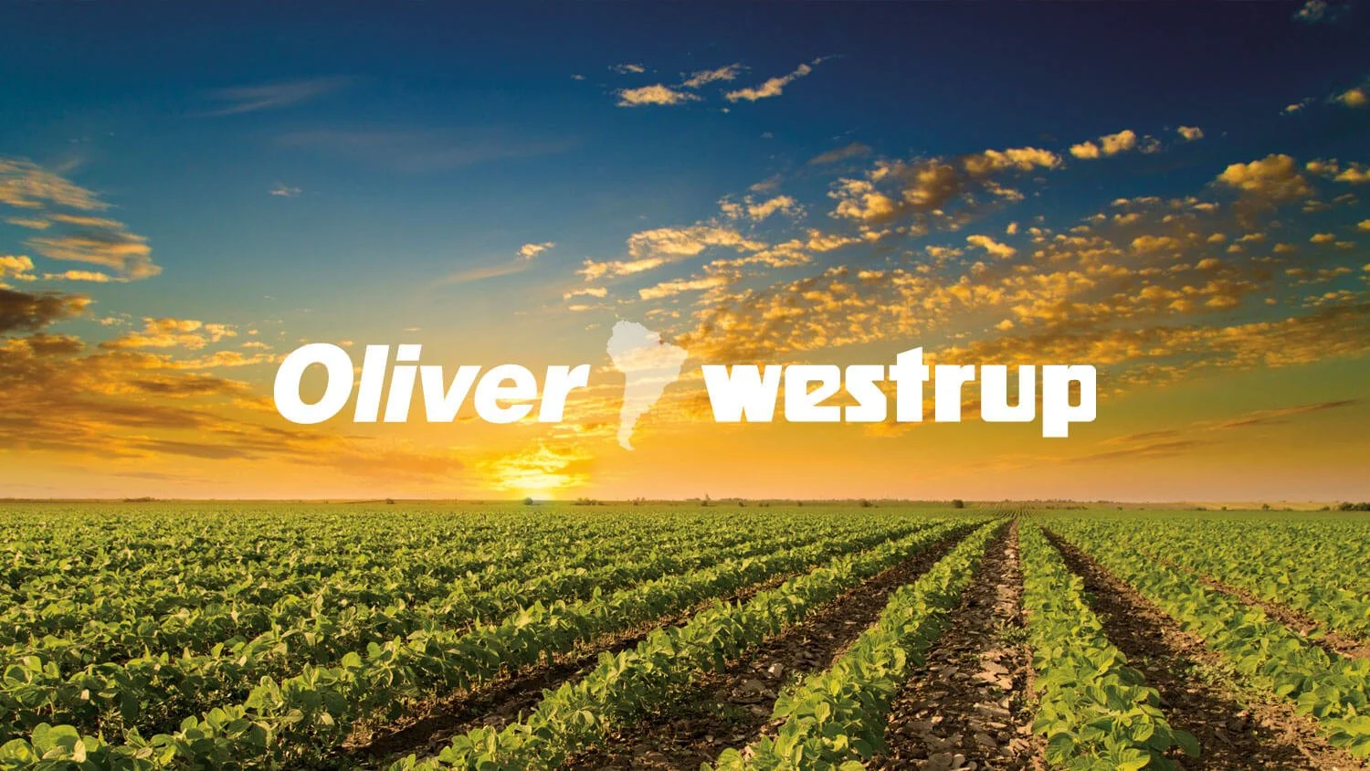 Renewed Partnership: Oliver Westrup South America