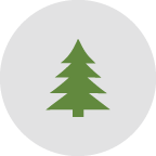 Forestry seed processing equipment handling tree seeds and cones