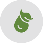 Green chili pepper icon on gray background