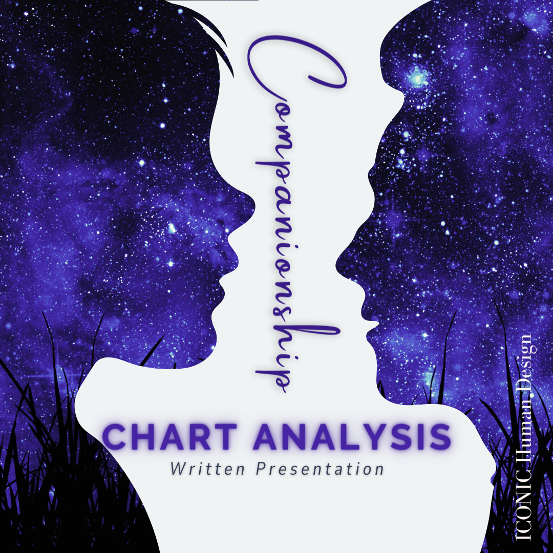 Companionship Chart Analysis Presentation