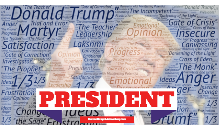 45th-president-donald-trump-career-design