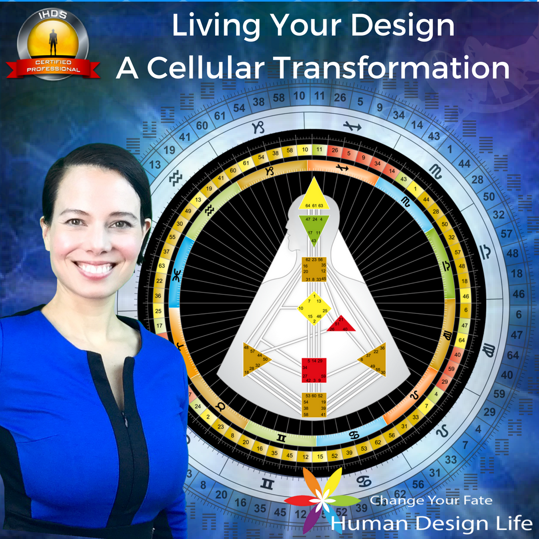 Take the first step in your official Human Design Educational Journey