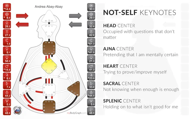 Andrea-Not-Self-Keynotes.jpg