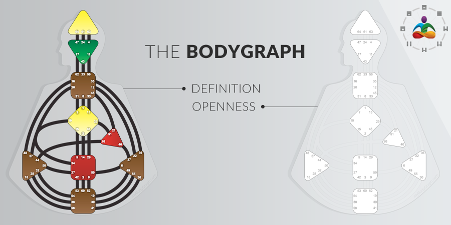 Human Design System Basic Concepts: Kinds of Chart Definition