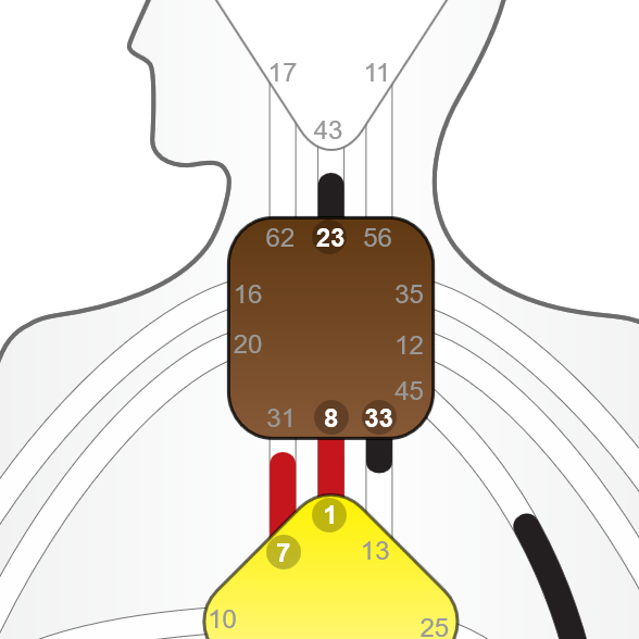 Journey through the Centers of the Human Design BodyGraph - The Throat Center