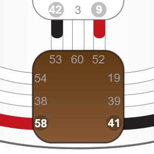 Journey through the Centers of the Human Design BodyGraph - The Root Center  