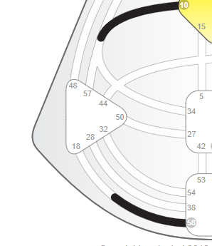 Journey through the Centers of the Human Design BodyGraph - The Splenic Center