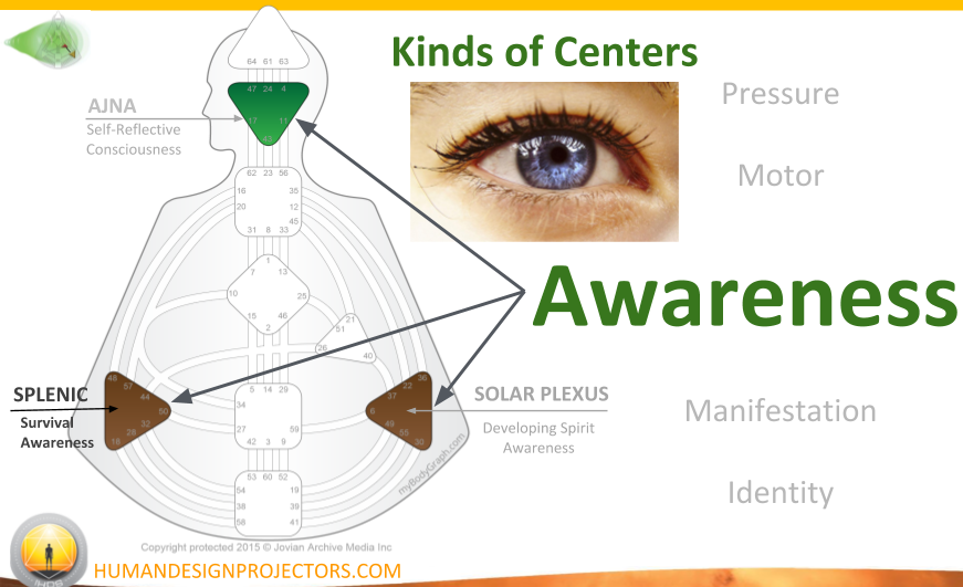 Human-Design-System-Kinds-of-Awareness-Centers