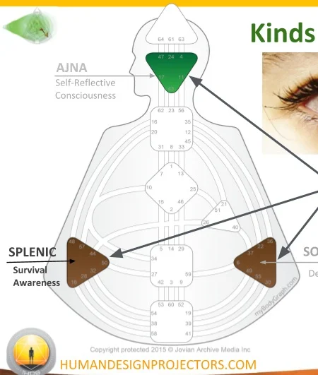 How to Make Correct Decisions: Human Design System Splenic Authority 