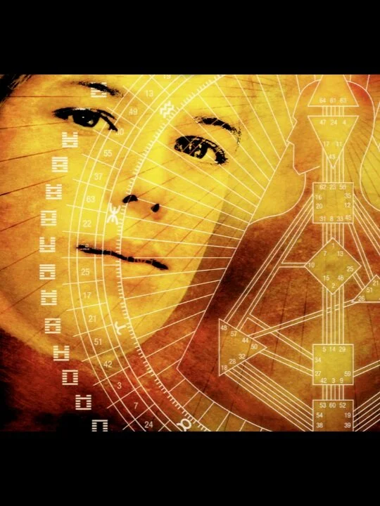 What's Your Success Story, future Human Design Professional?