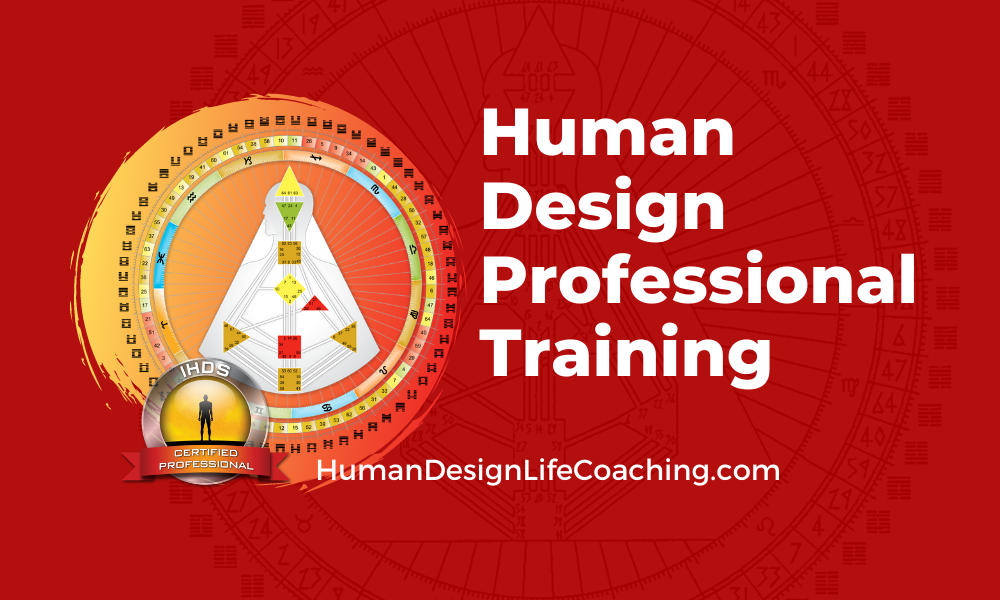 Learning to Train Human Design Professional Analysts