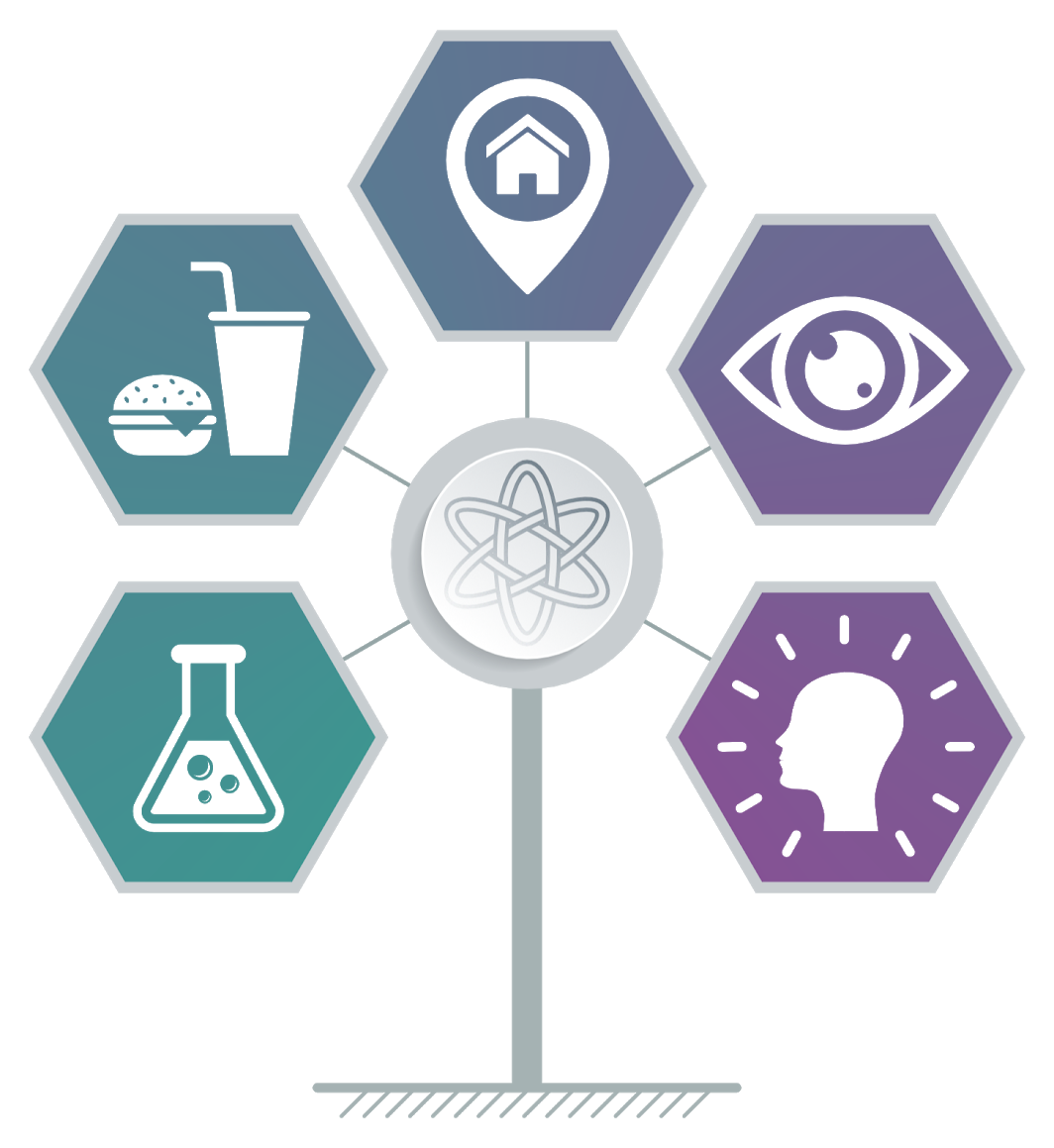 Learning to Live Your Human Design