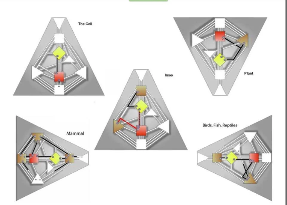 Human Design System, the Design of Forms.  Credit: JovianArchive.com