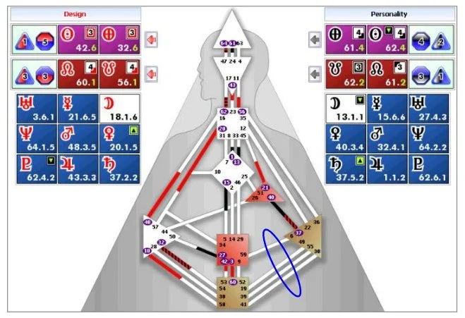 Human Design System Wide Split