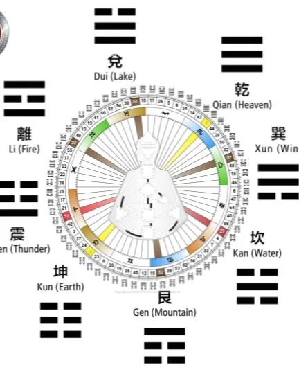 Learning the Human Design Lingo - A Rave ABC's Course Introduction