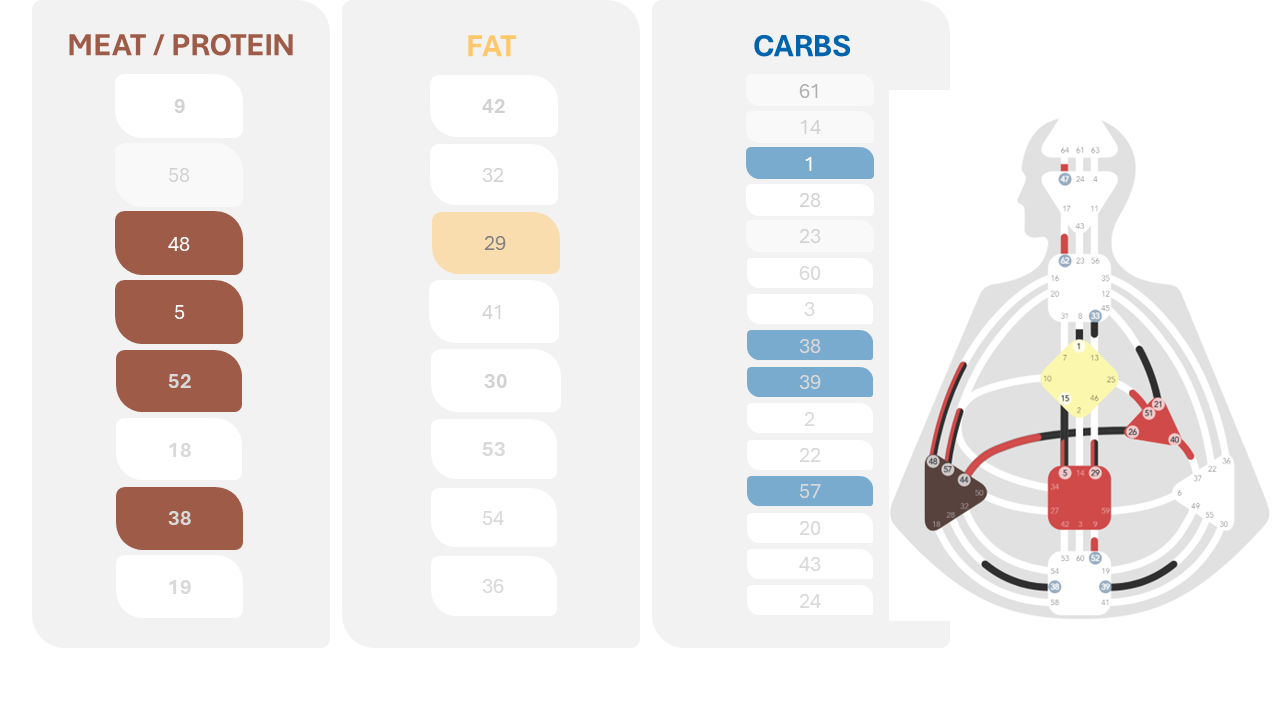 Food Is the Foundation of Your Differentiated Health