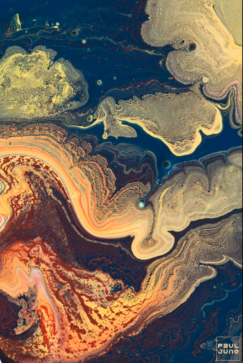 Screenshot 2026-01-21 at 2.33.22 PM.png