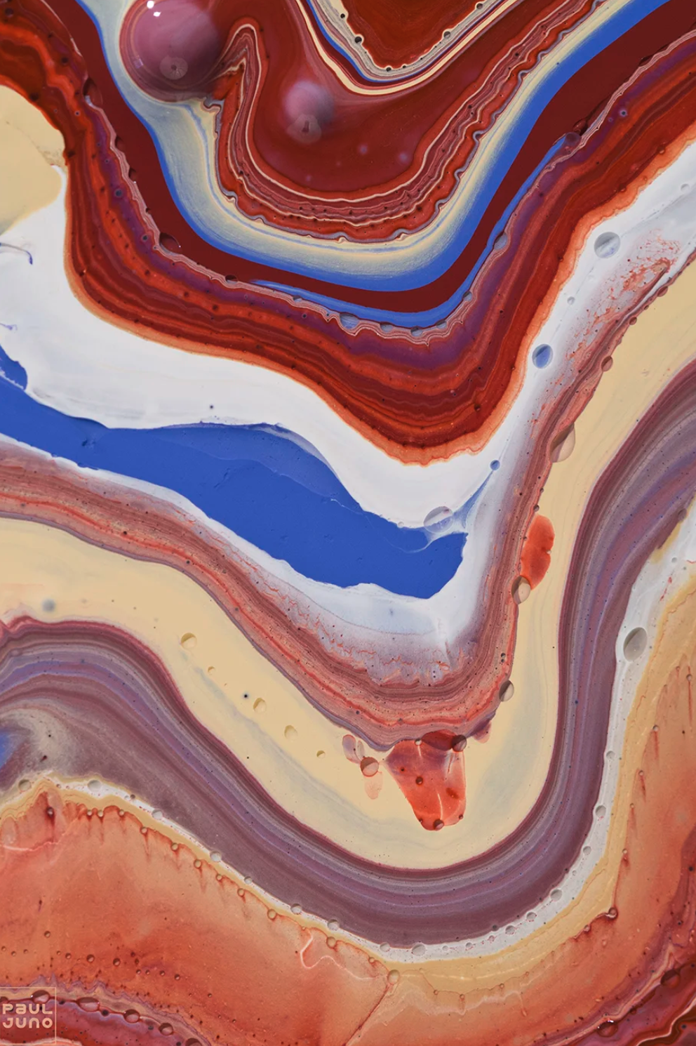 Screenshot 2026-01-21 at 2.38.42 PM.png