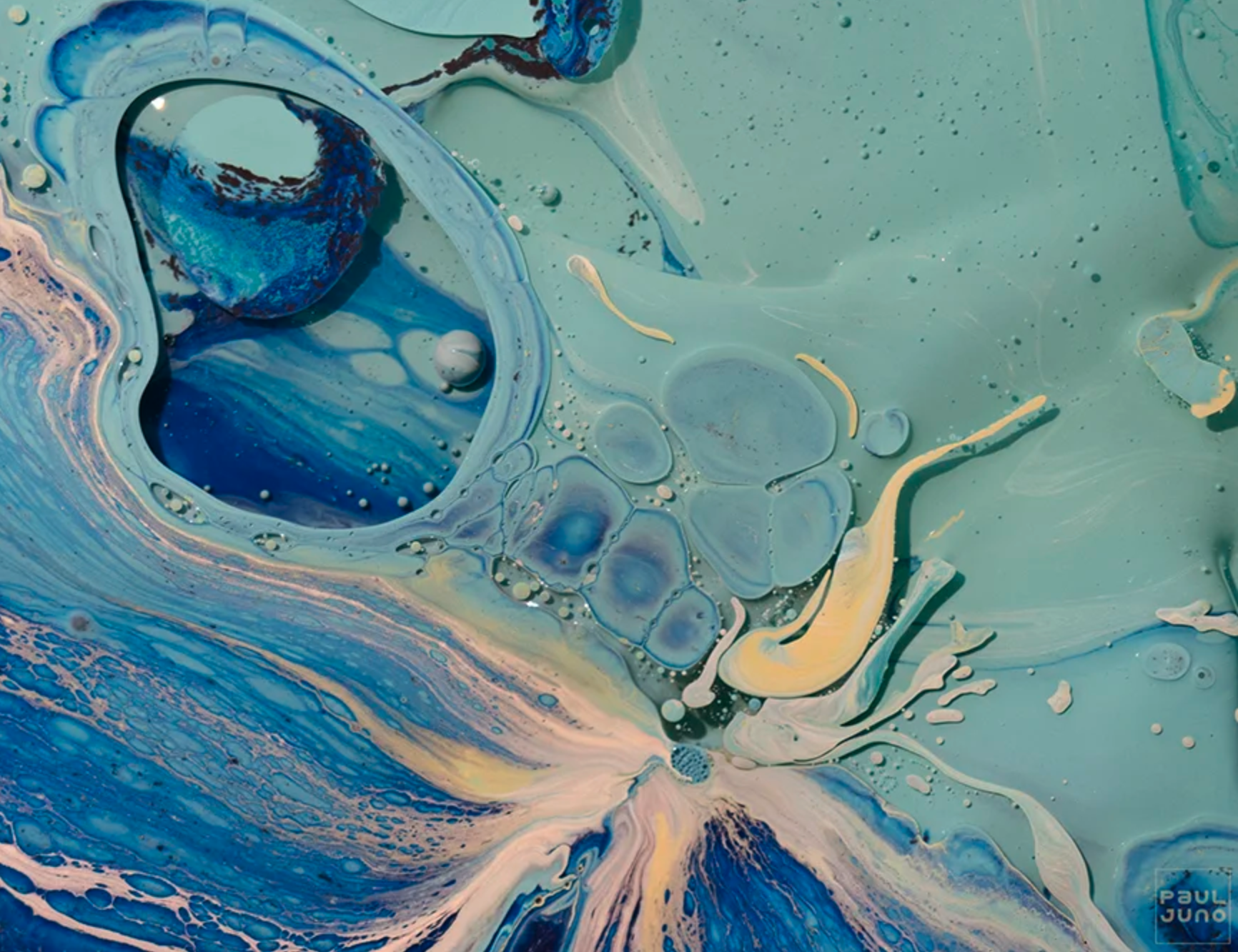 Screenshot 2026-01-21 at 2.39.49 PM.png