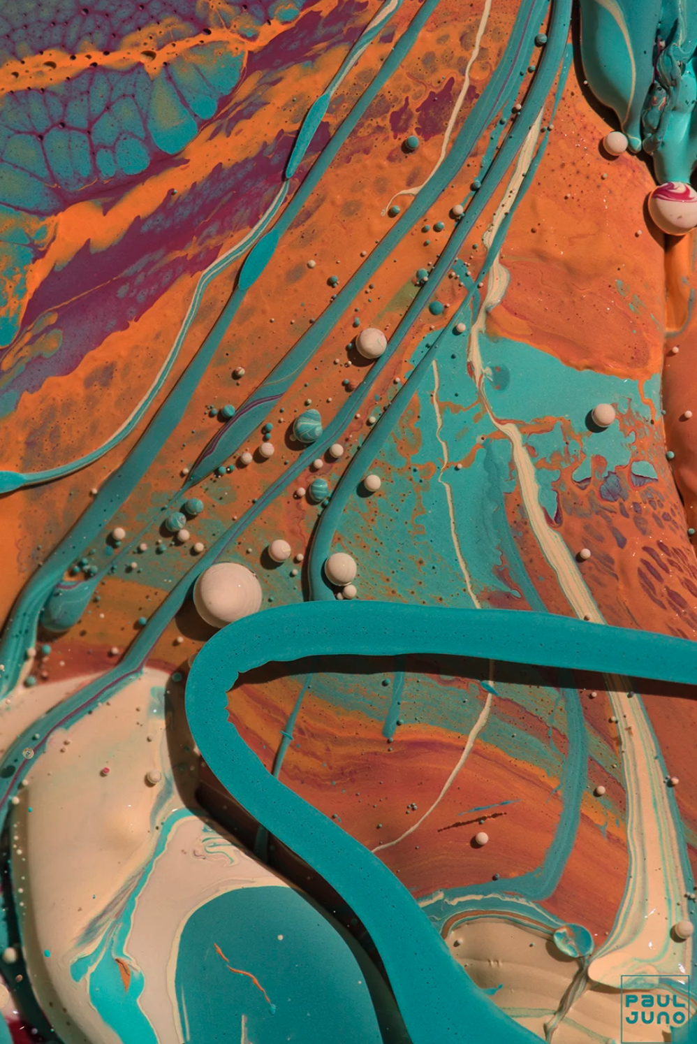 Screenshot 2026-01-21 at 2.34.44 PM.png