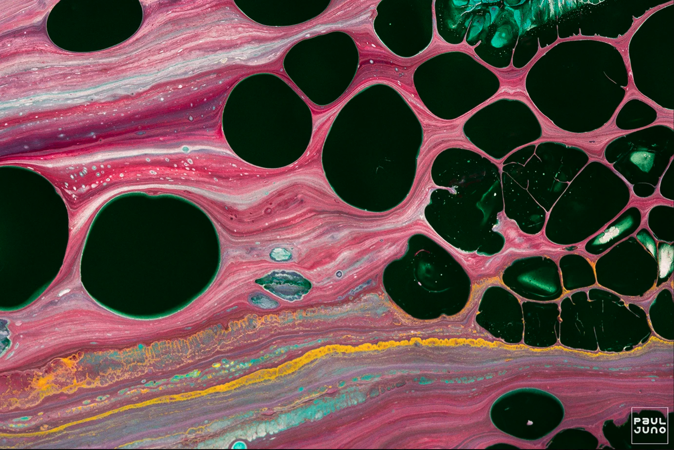 Screenshot 2026-01-21 at 2.40.23 PM.png