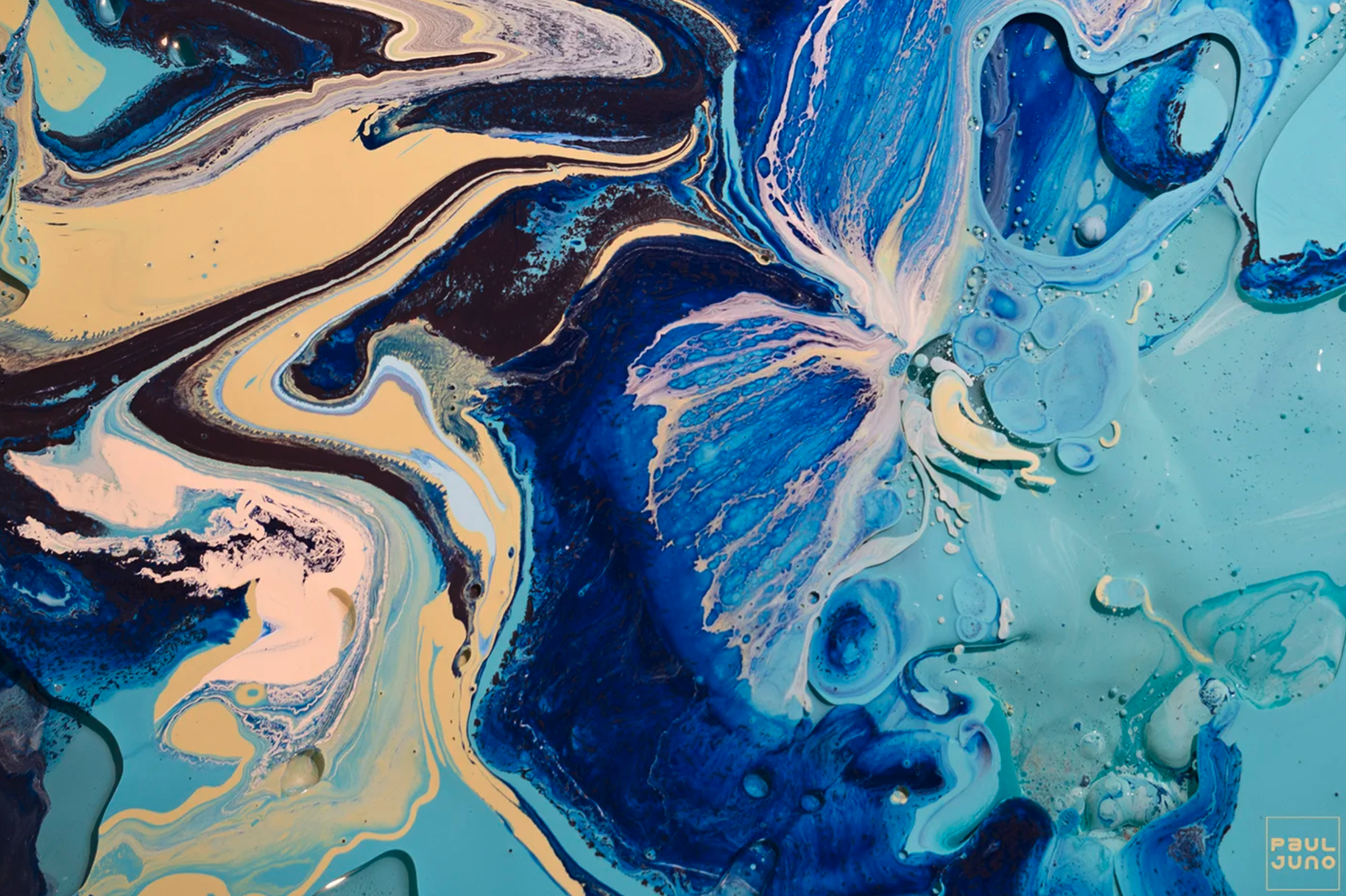 Screenshot 2026-01-21 at 2.35.49 PM.png