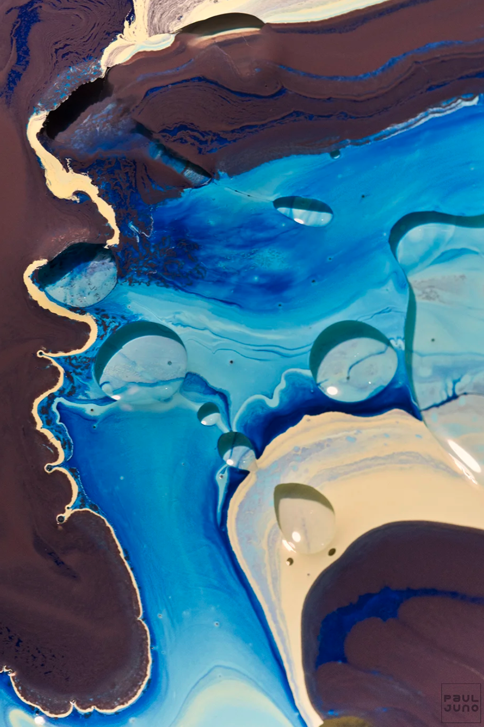 Screenshot 2026-01-21 at 2.36.26 PM.png