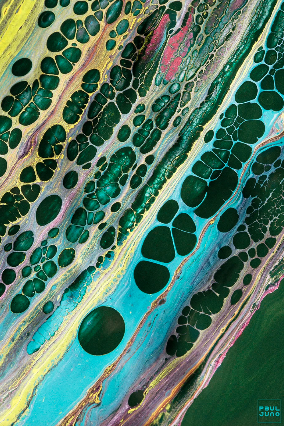 Screenshot 2026-01-28 at 3.08.46 PM.png