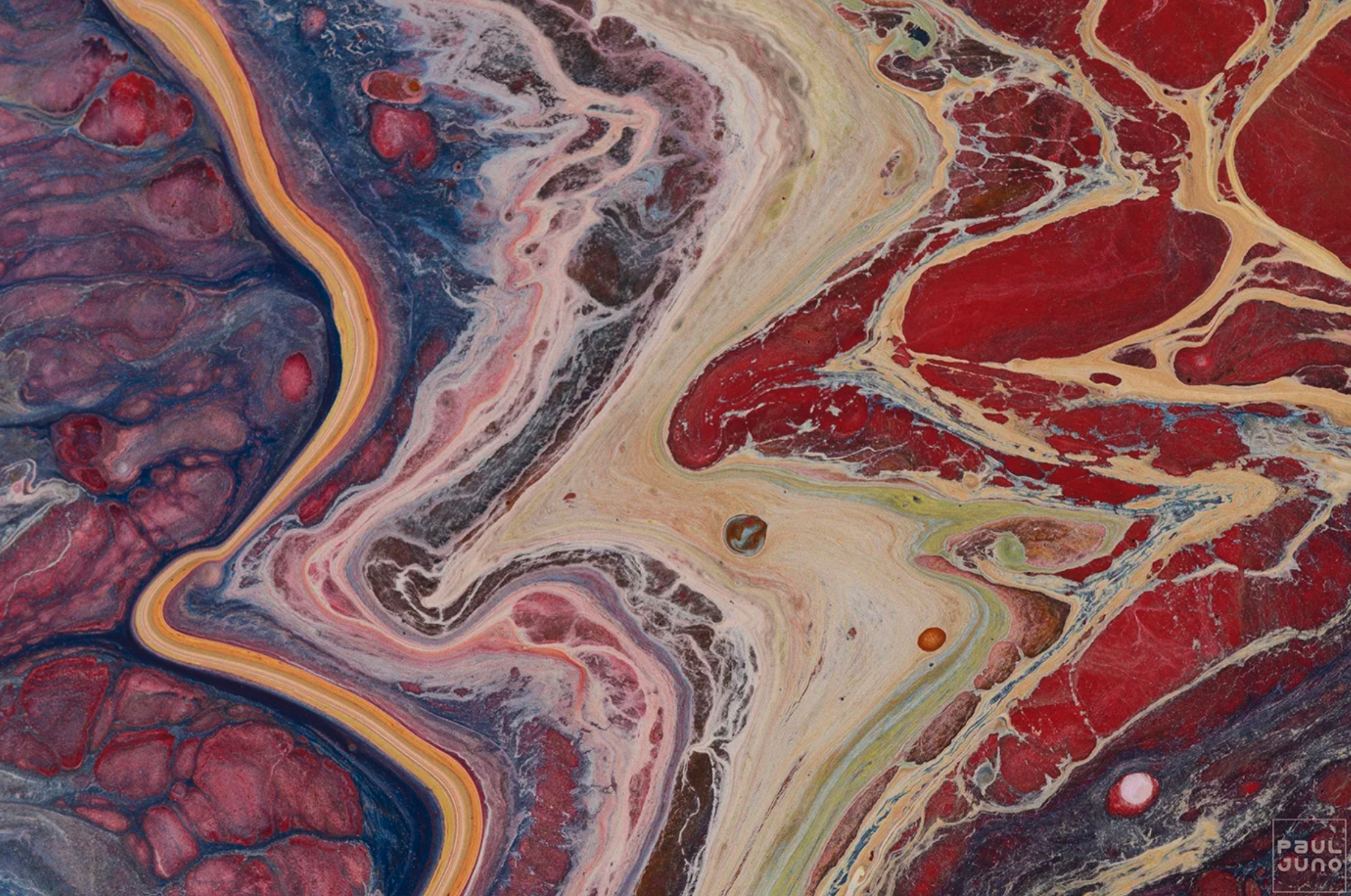 Screenshot 2026-01-21 at 2.38.49 PM.png