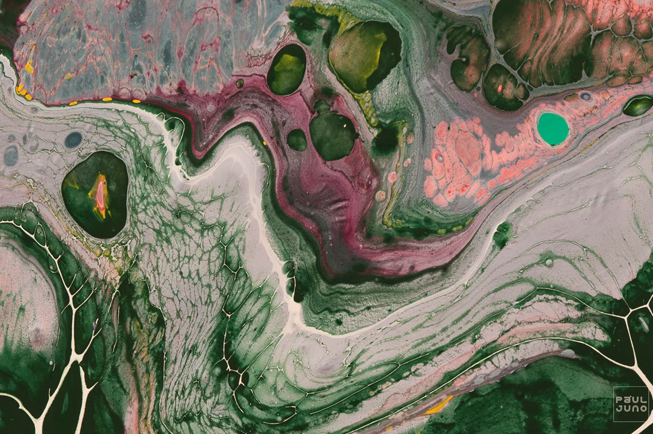 Screenshot 2026-01-21 at 2.39.36 PM.png