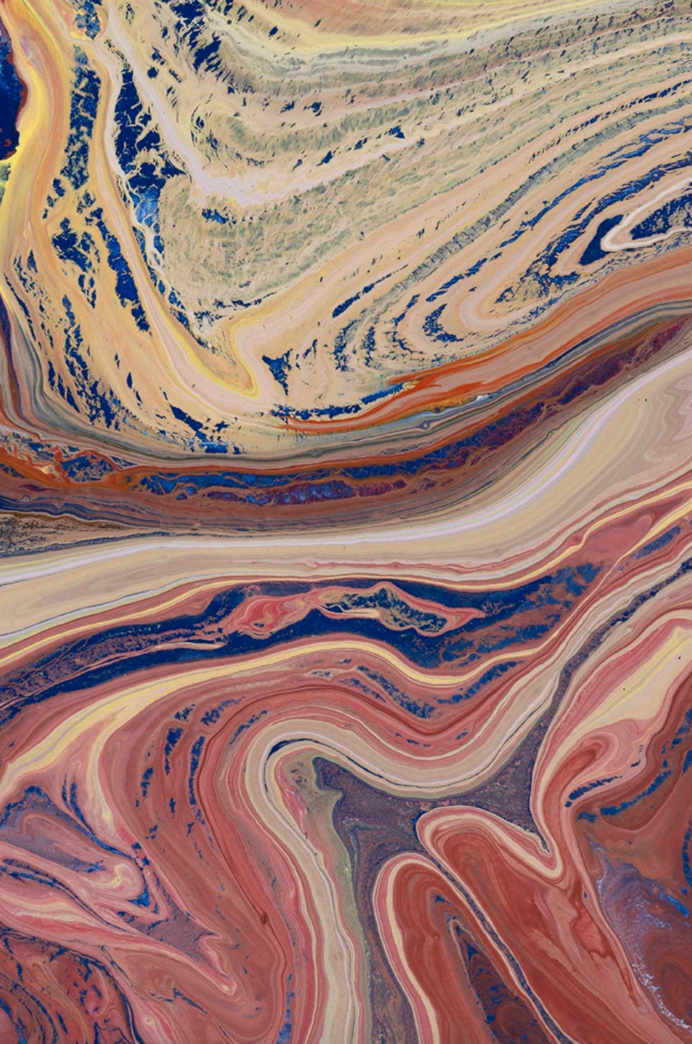 Screenshot 2026-01-29 at 3.45.28 PM.png