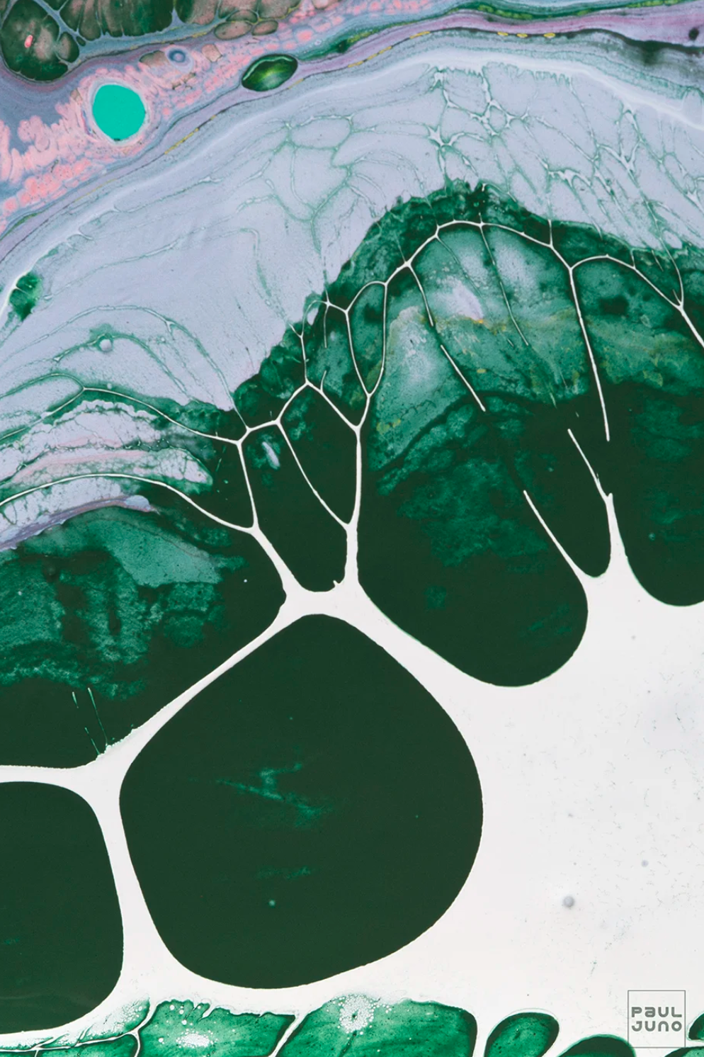 Screenshot 2026-01-21 at 2.39.30 PM.png