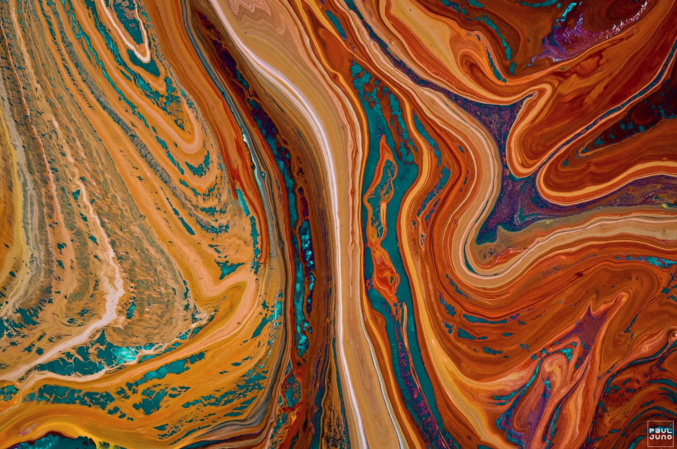 Screenshot 2026-01-21 at 2.37.27 PM.png