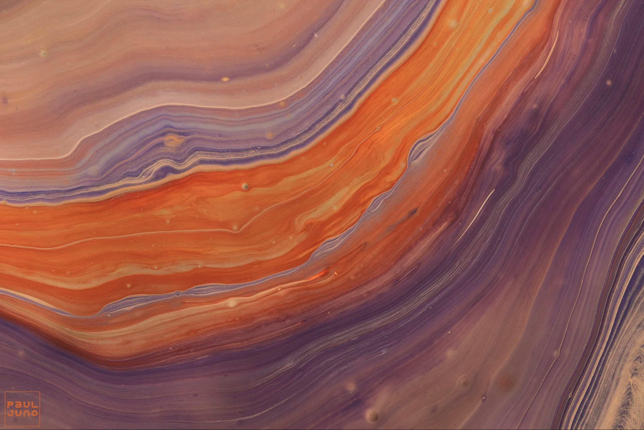 Screenshot 2026-01-21 at 2.38.31 PM.png