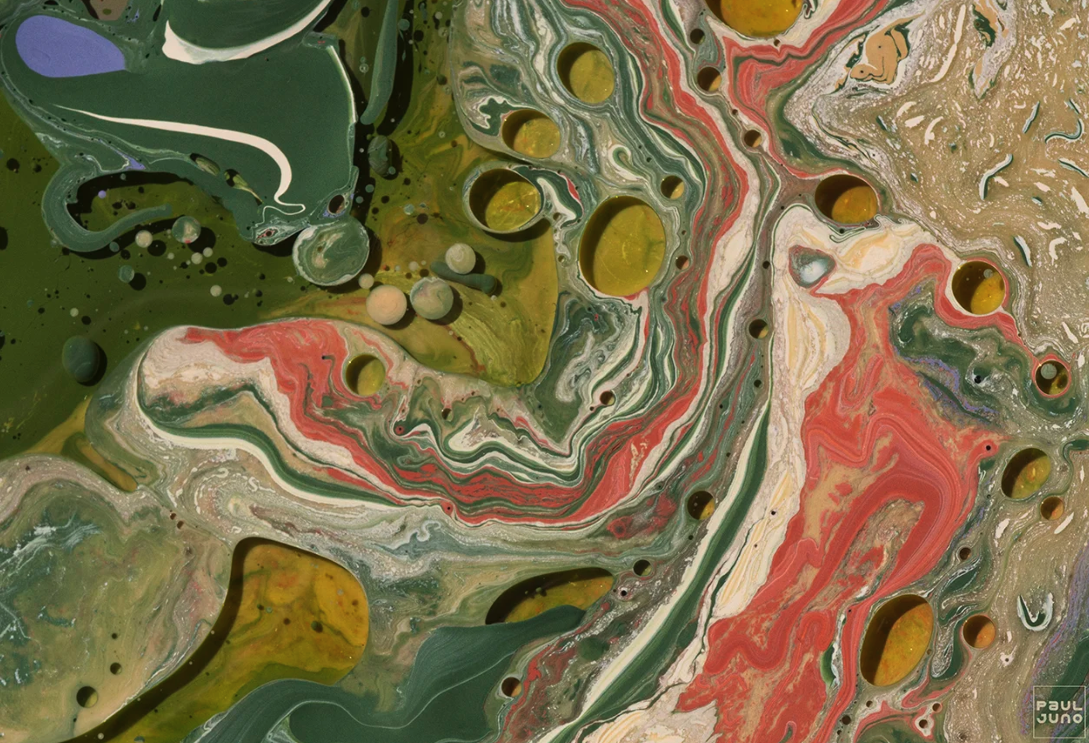 Screenshot 2026-01-21 at 2.37.50 PM.png