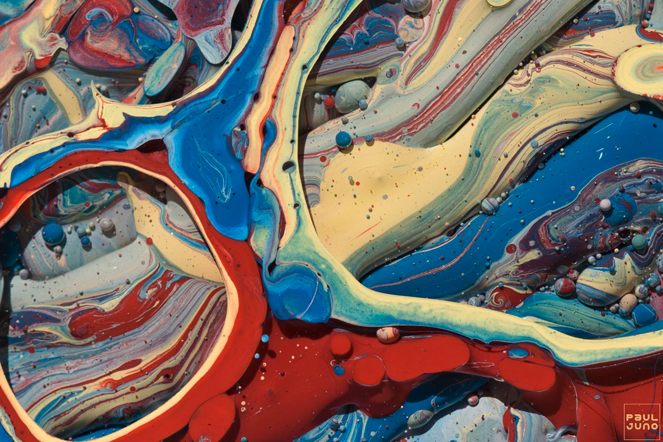 Screenshot 2026-01-21 at 2.37.44 PM.png