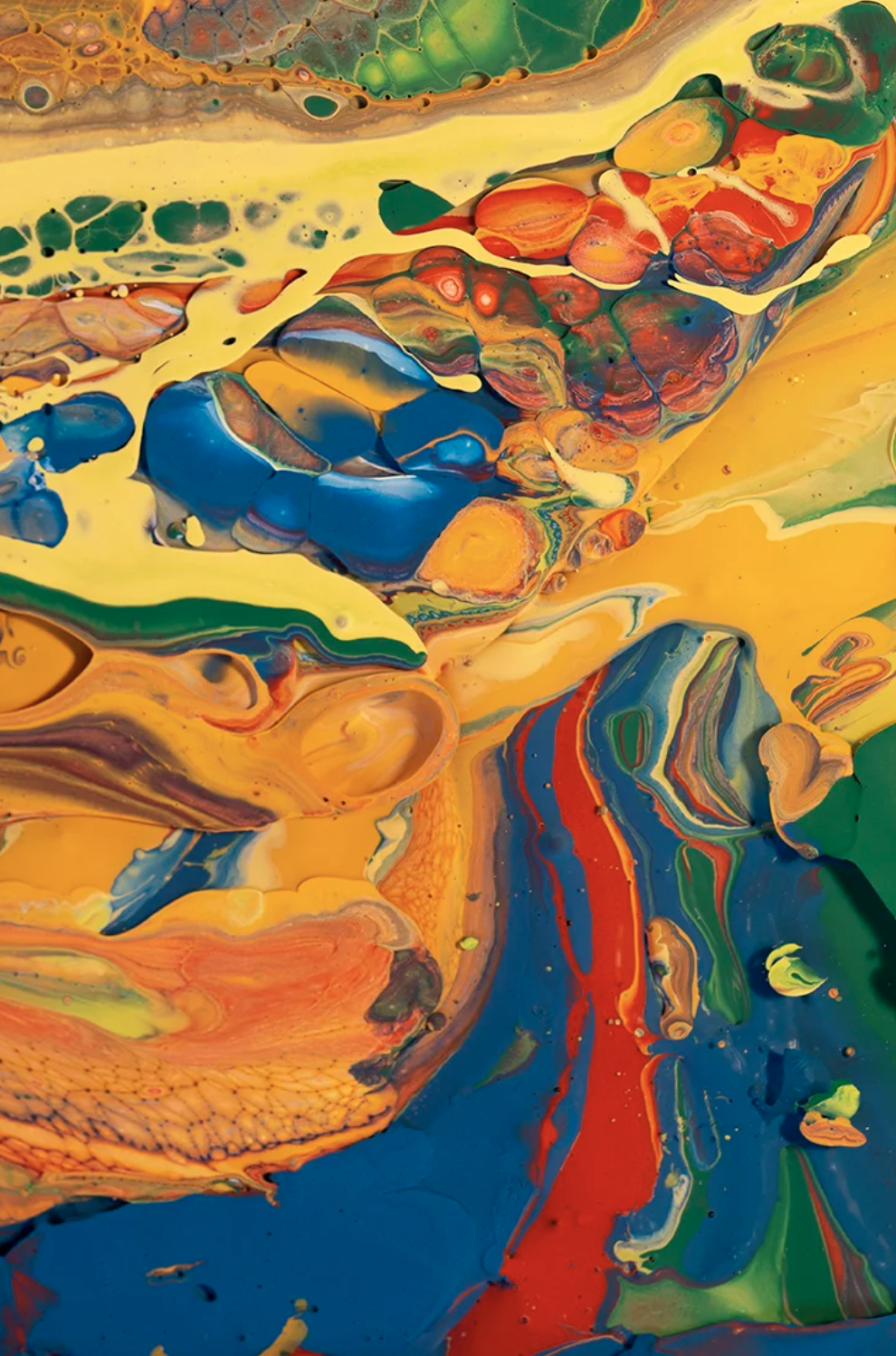 Screenshot 2026-01-29 at 3.46.33 PM.png