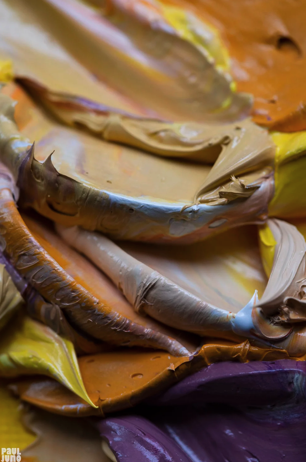 Screenshot 2026-01-21 at 2.18.04 PM.png