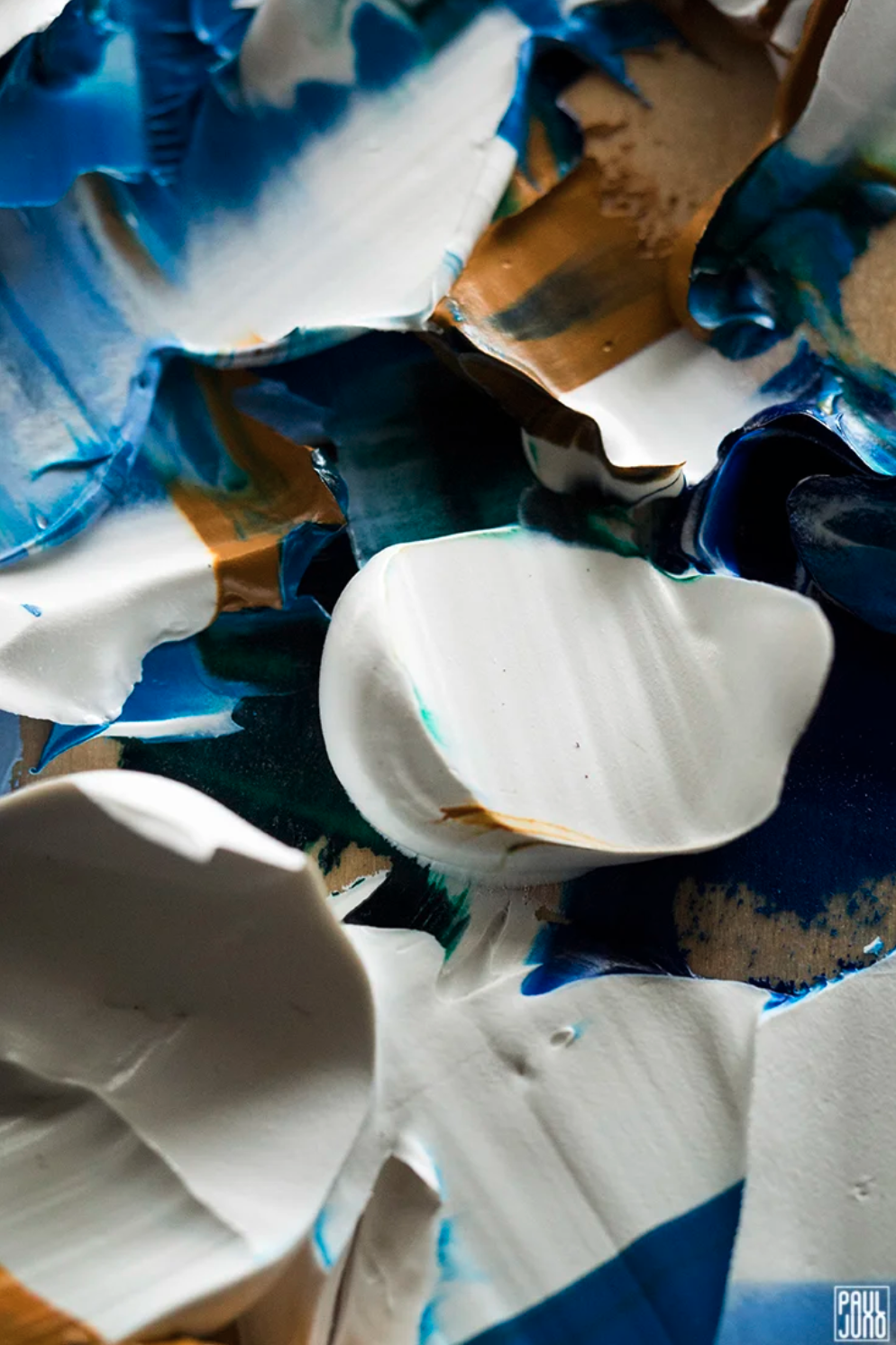 Screenshot 2026-01-21 at 2.14.05 PM.png