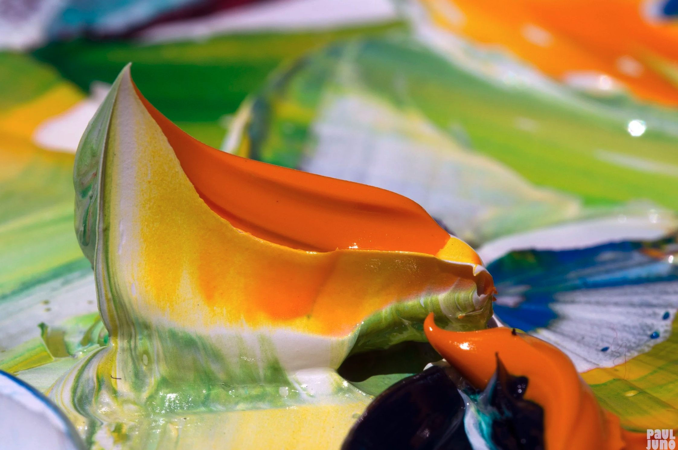 Screenshot 2026-01-21 at 2.17.17 PM.png