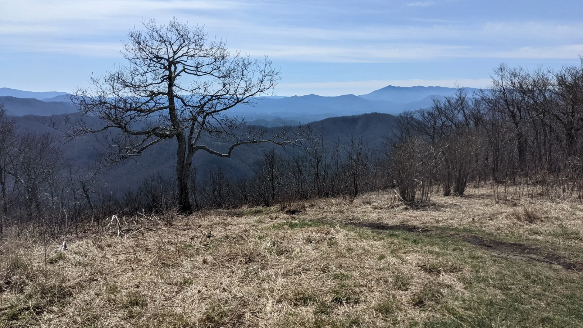 A landscape view of a mountain range with a leafless tree in the foreground, bare bushes on a grassy hillside, and layered mountains in the distance under a partly cloudy sky.