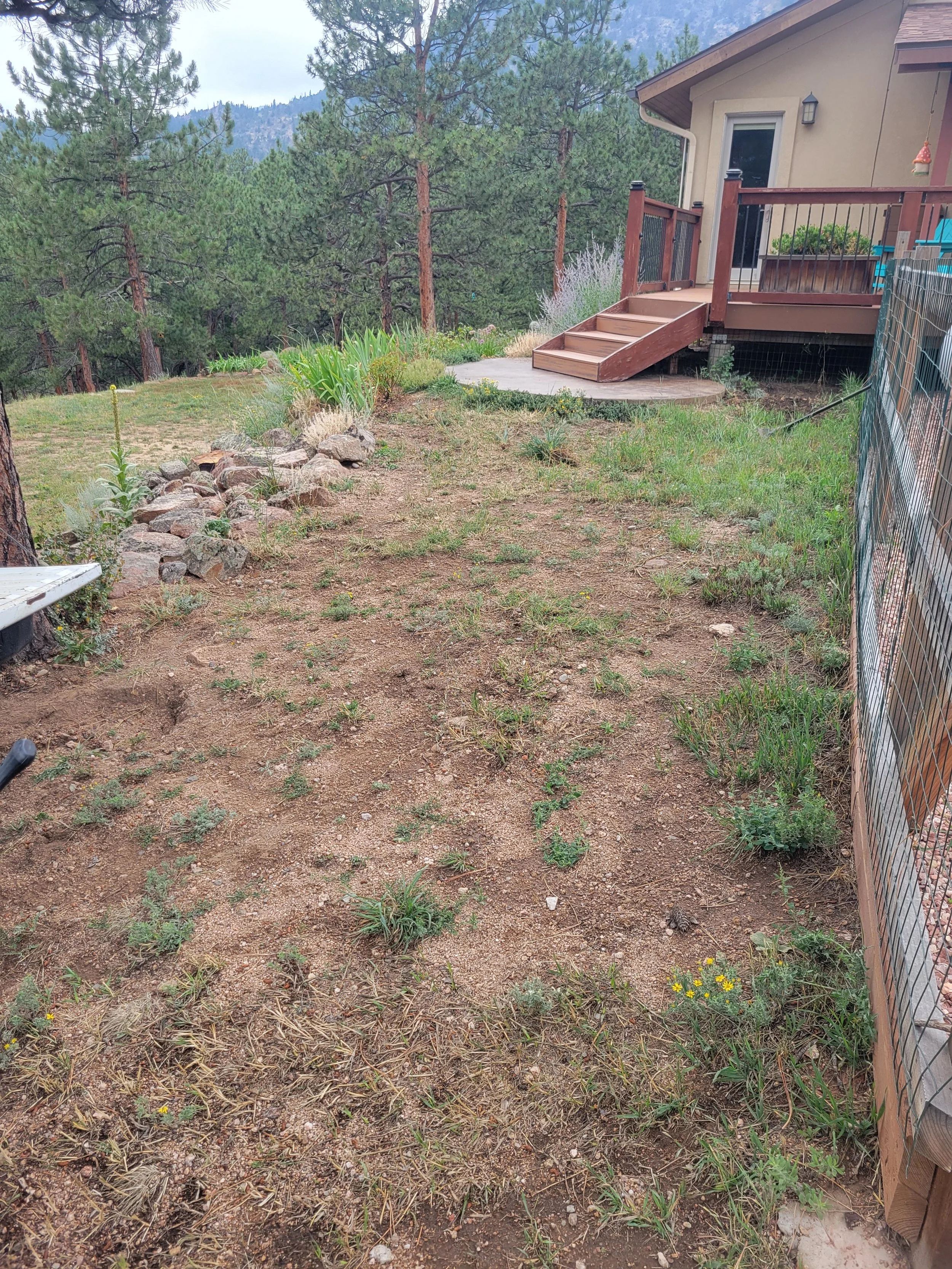 Before- Pinewood Springs