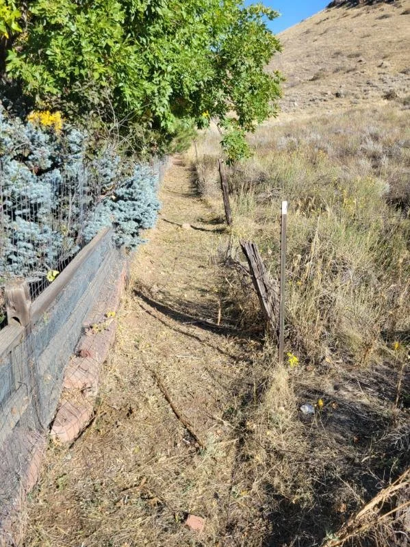 Defensible Space Clean-ups