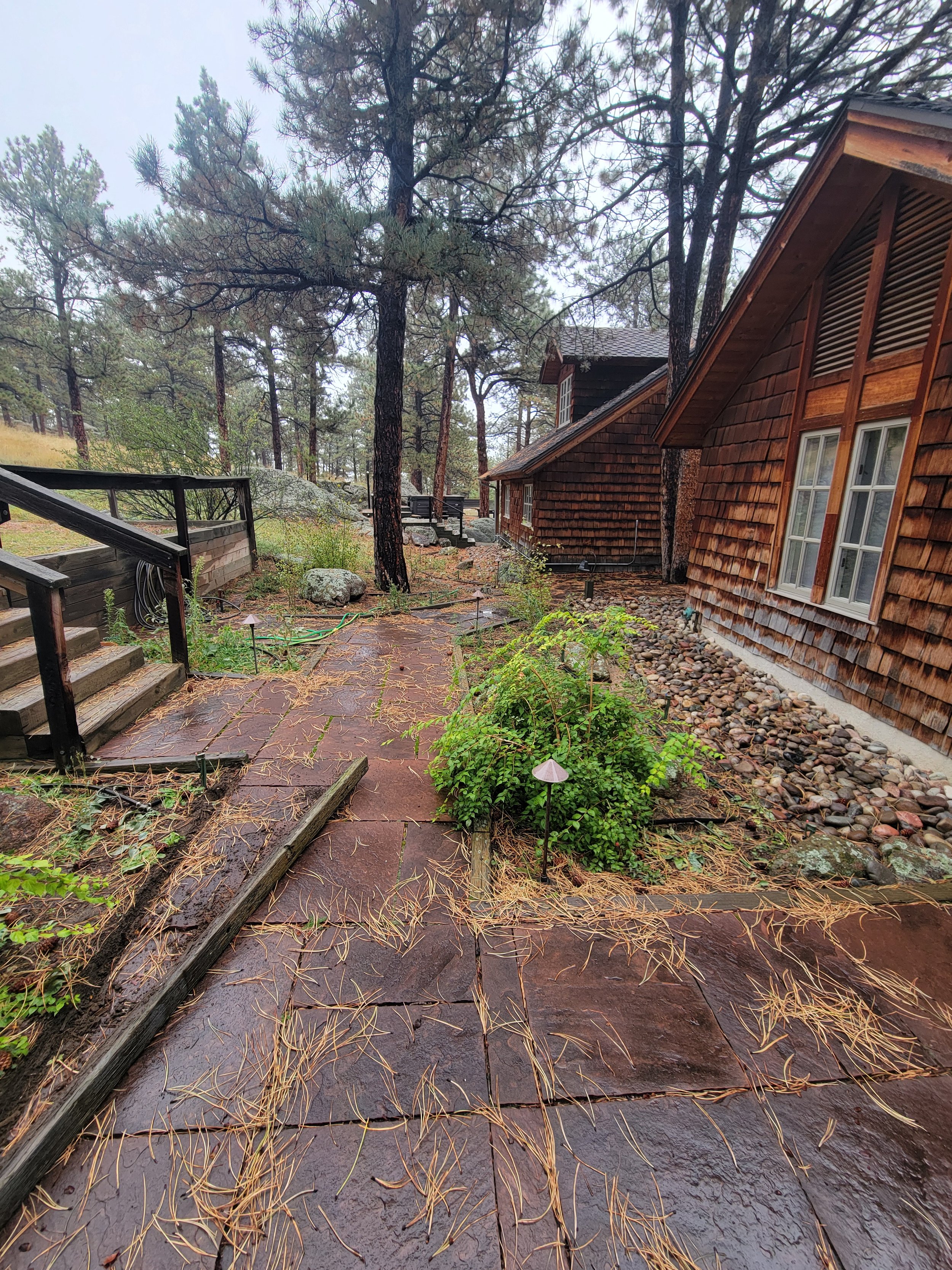 Before- Lyons Pathway