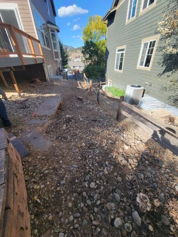 after frank trees.JPG