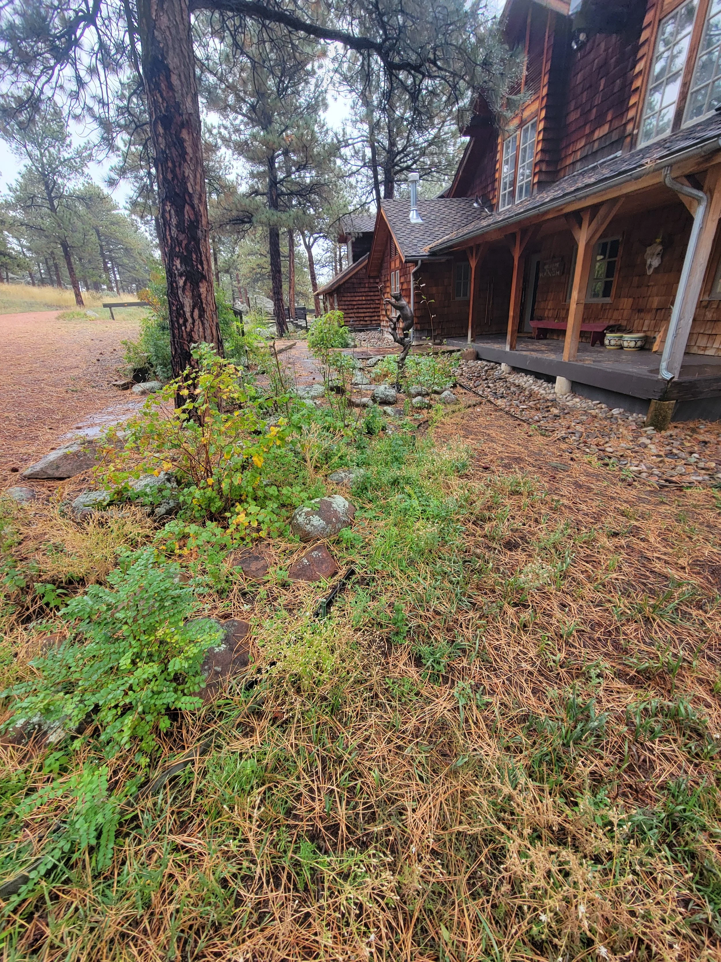 Before- Lyons Rock install