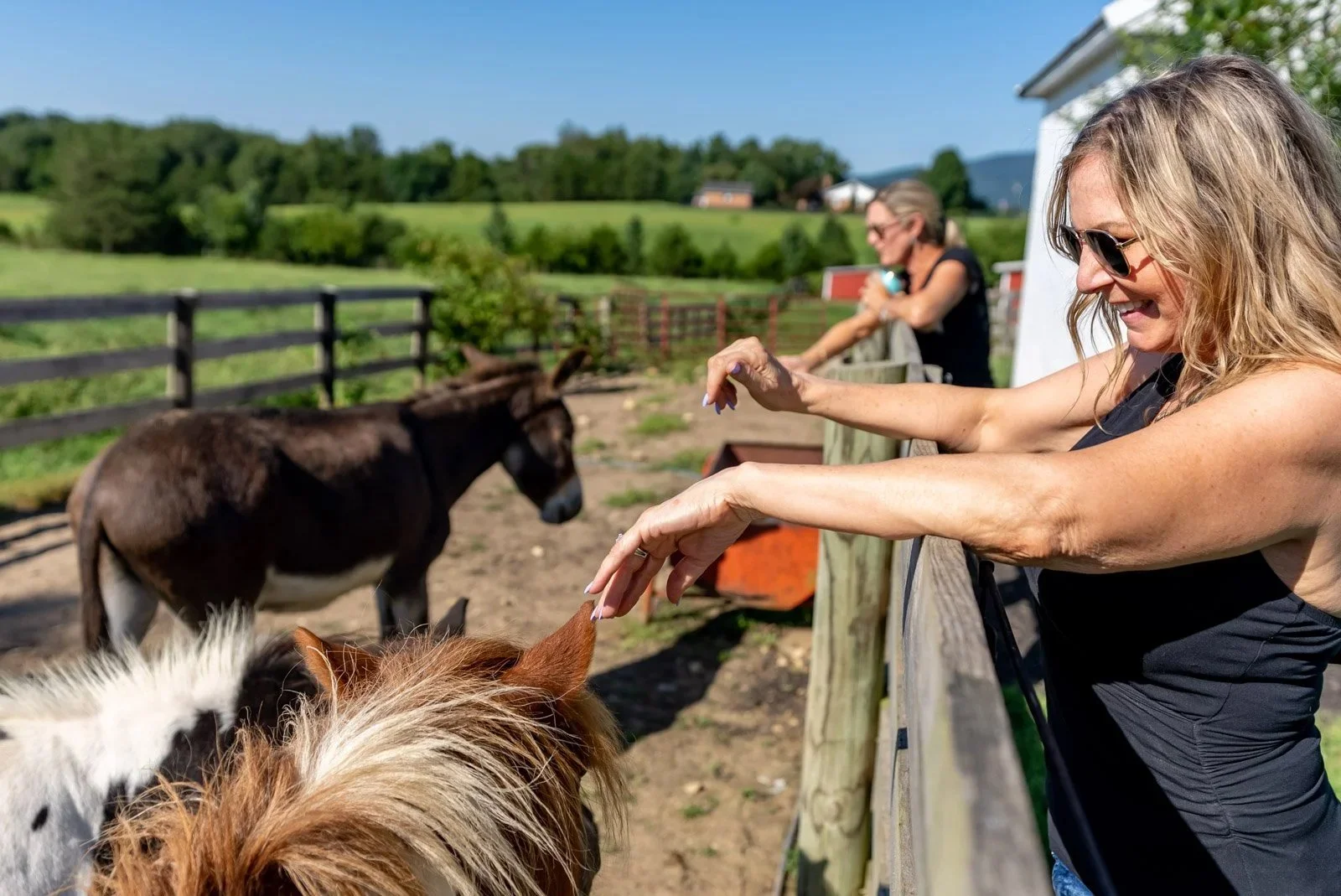 Photo credit: Visit Page Valley