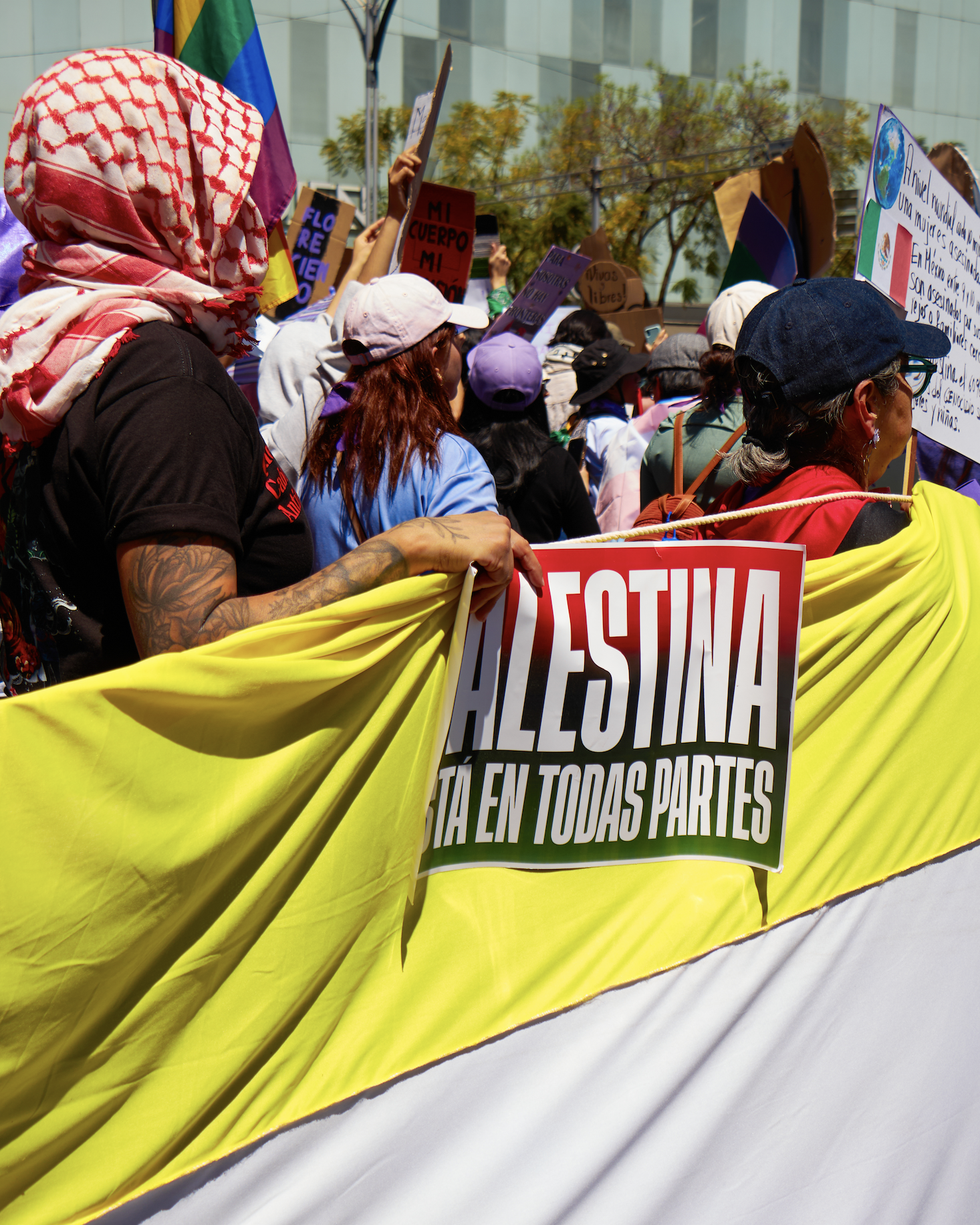 Captura de pantalla 2026-02-10 a la(s) 11.22.19.png